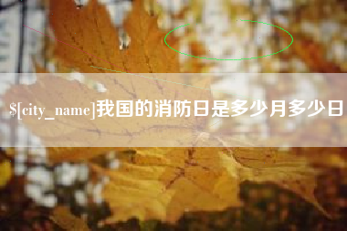 沂源我国的消防日是多少月多少日