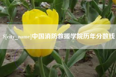沂源中国消防救援学院历年分数线