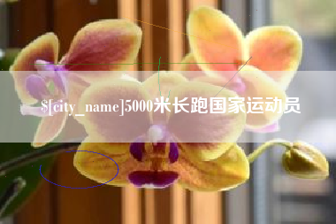 沂源5000米长跑国家运动员
