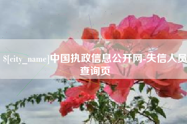 沂源中国执政信息公开网-失信人员查询页