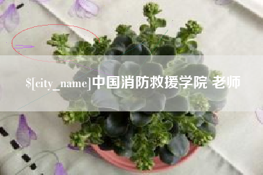 沂源中国消防救援学院 老师