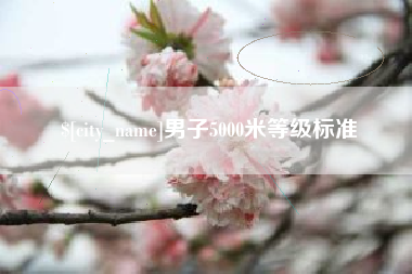 沂源男子5000米等级标准