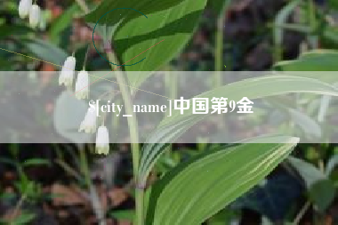 沂源中国第9金