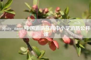 沂源中国消防官网中小学消防公开课