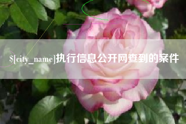沂源执行信息公开网查到的案件