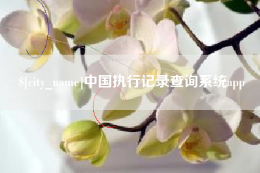 沂源中国执行记录查询系统app
