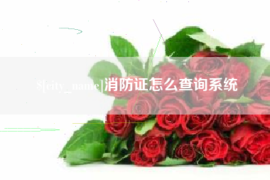 沂源消防证怎么查询系统