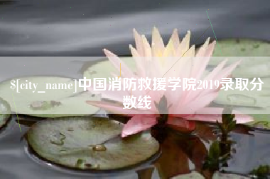 沂源中国消防救援学院2019录取分数线