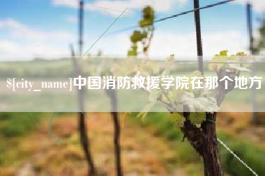 沂源中国消防救援学院在那个地方