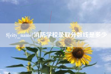 沂源消防学校录取分数线是多少