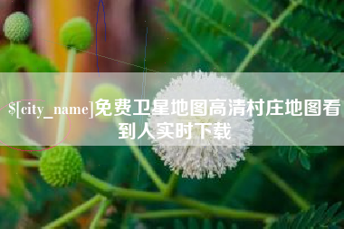沂源免费卫星地图高清村庄地图看到人实时下载