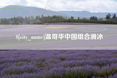 沂源温哥华中国组合滑冰
