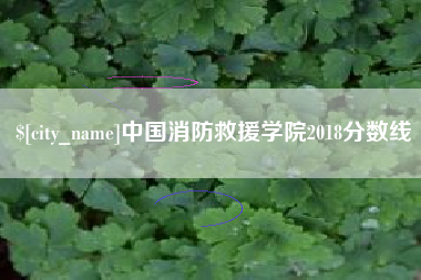 沂源中国消防救援学院2018分数线