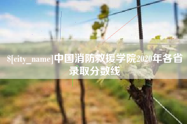 沂源中国消防救援学院2020年各省录取分数线