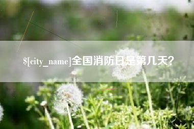 沂源全国消防日是第几天？