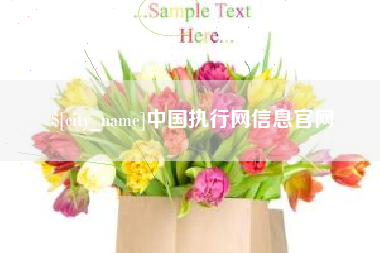 沂源中国执行网信息官网