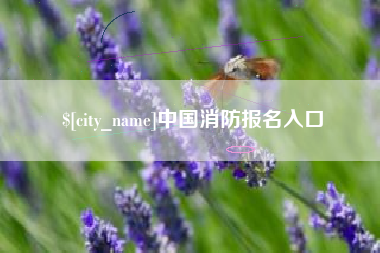 沂源中国消防报名入口
