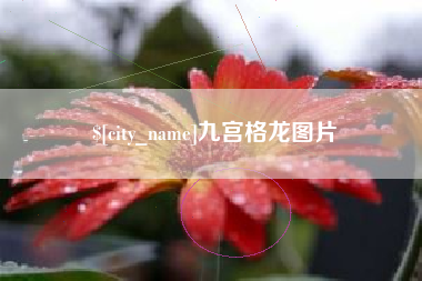 沂源九宫格龙图片