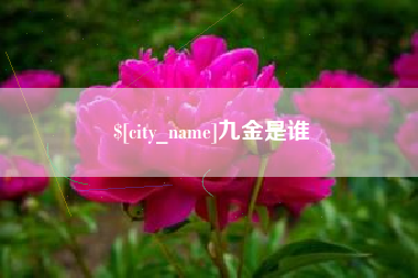 沂源九金是谁