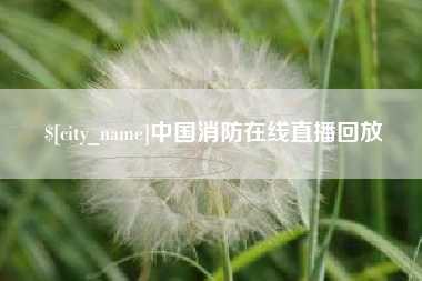 沂源中国消防在线直播回放