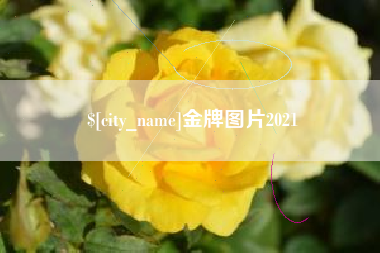 沂源金牌图片2021