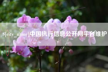 沂源中国执行信息公开网平台维护