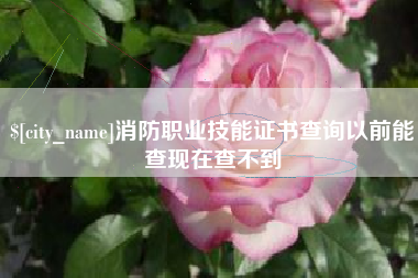 沂源消防职业技能证书查询以前能查现在查不到