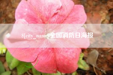 沂源全国消防日海报