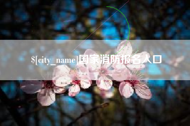 沂源国家消防报名入口