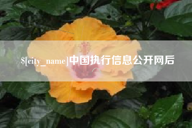 沂源中国执行信息公开网后