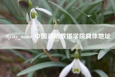 沂源中国消防救援学院具体地址