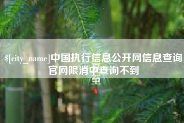 沂源中国执行信息公开网信息查询官网限消中查询不到