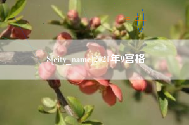 沂源2021年9宫格