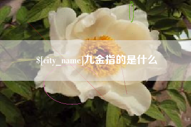 沂源九金指的是什么