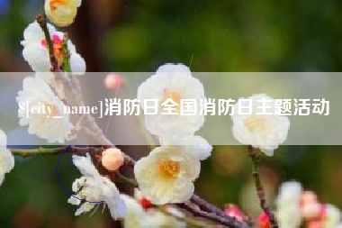 沂源消防日全国消防日主题活动