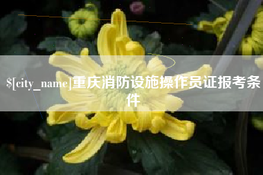 沂源重庆消防设施操作员证报考条件