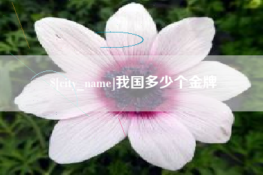沂源我国多少个金牌