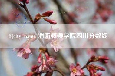 沂源消防救援学院四川分数线