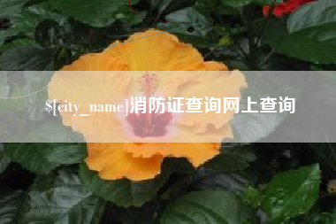 沂源消防证查询网上查询
