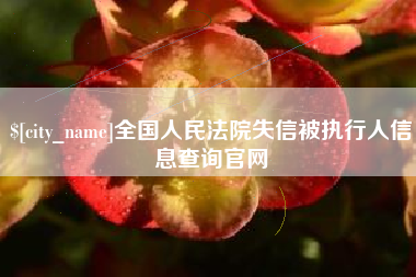沂源全国人民法院失信被执行人信息查询官网