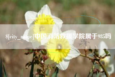 沂源中国消防救援学院属于985吗