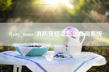 沂源消防资格证怎么查询系统