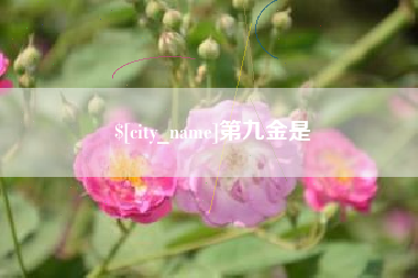 沂源第九金是