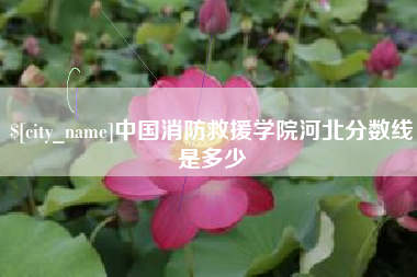沂源中国消防救援学院河北分数线是多少