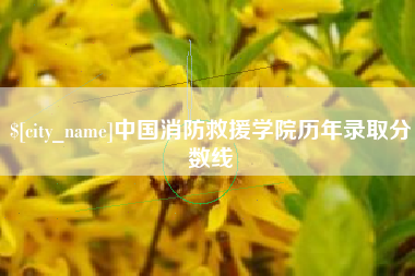 沂源中国消防救援学院历年录取分数线