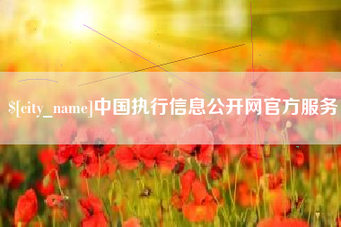 沂源中国执行信息公开网官方服务