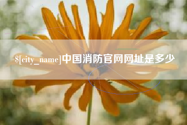 沂源中国消防官网网址是多少
