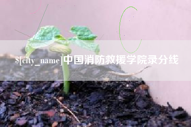 沂源中国消防救援学院录分线