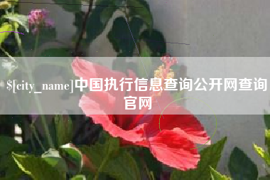 沂源中国执行信息查询公开网查询官网