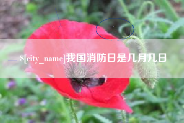 沂源我国消防日是几月几日